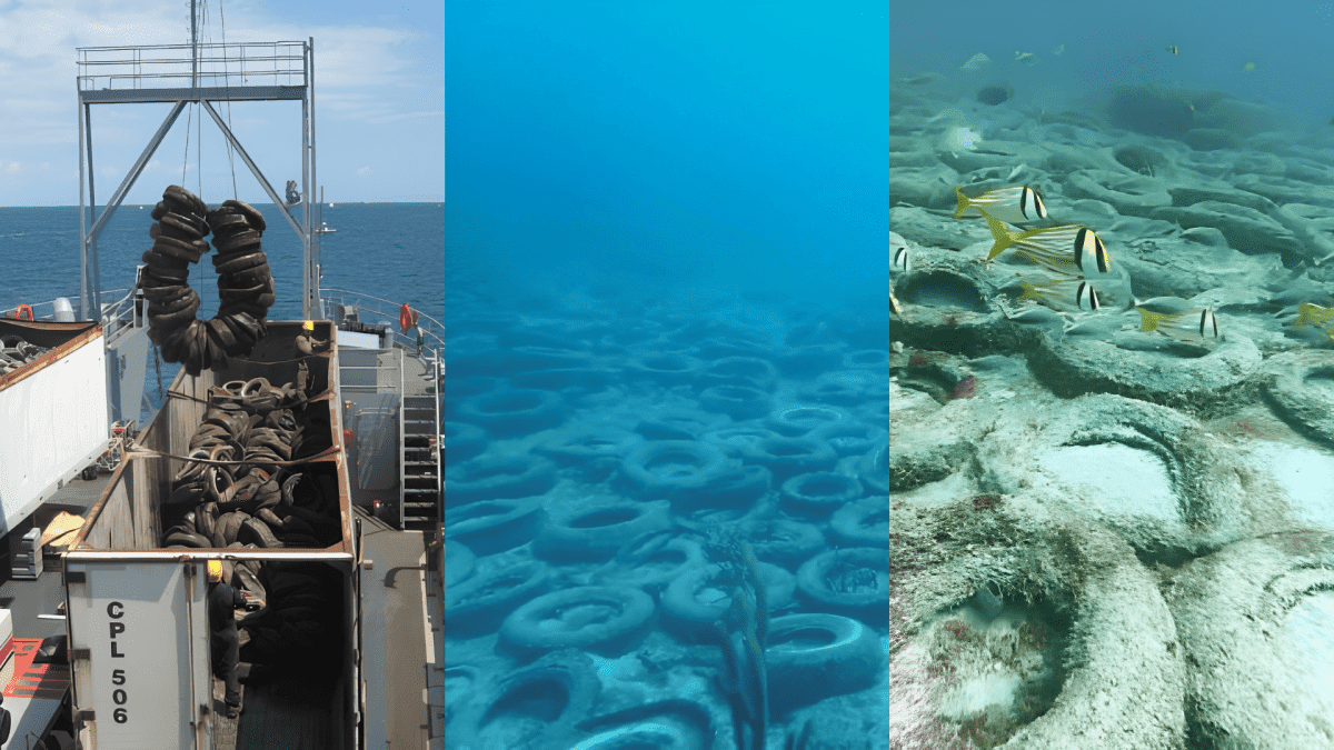 Descarte de pneus e concreto nos oceanos: sucessos e fracassos