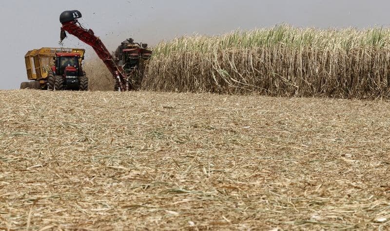 Subvenção de R$ 270 milhões ajudará 17 mil agricultores no Nordeste