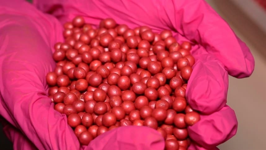 China estabelece novas regras com a nova "lei de sementes"