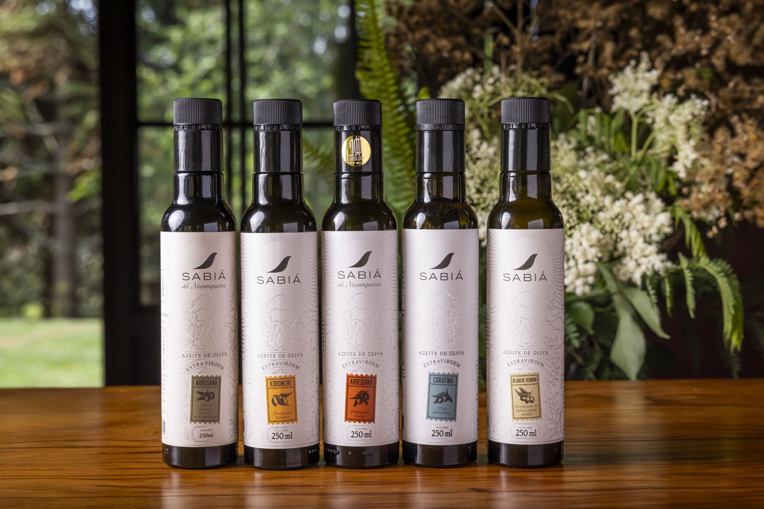 Azeite brasileiro brilha em competição de olivicultura em Portugal