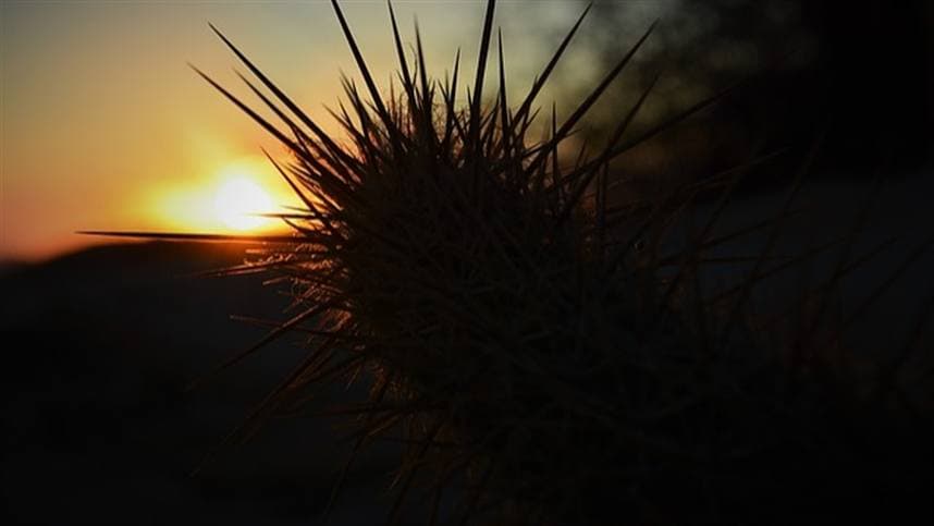 INMET Prevê Chuvas Variadas e Temperaturas Elevadas para Abril de 2026