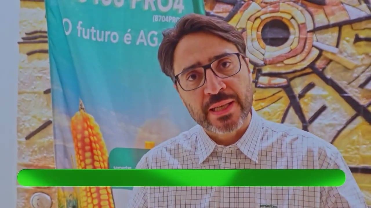 Novos híbridos de milho são lançados em Goiás e Minas Gerais