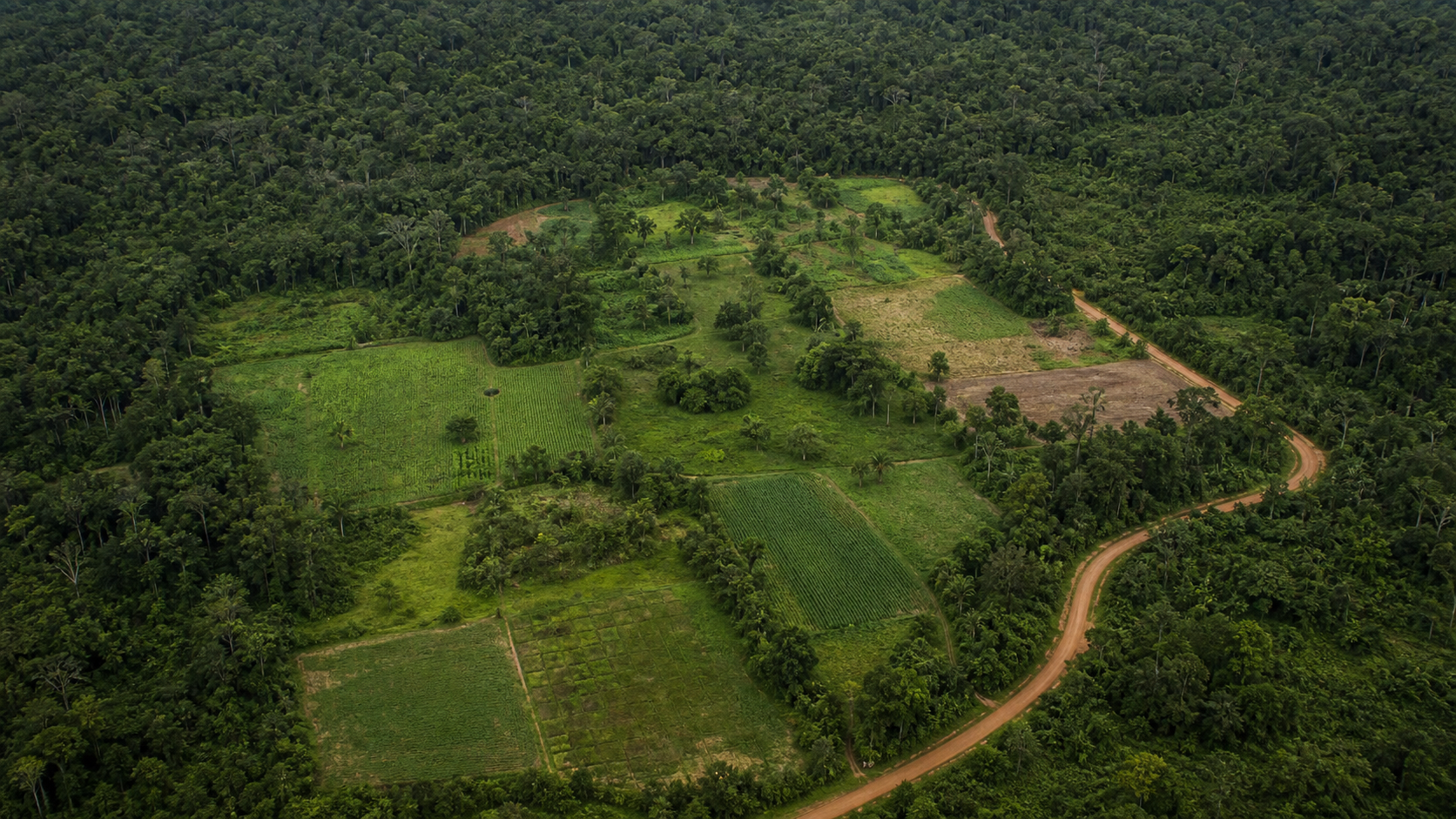 Conab e BNDES anunciam resultados preliminares de apoio à Amazônia
