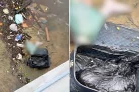 Mala com duas pernas humanas é descoberta flutuando no litoral de SP