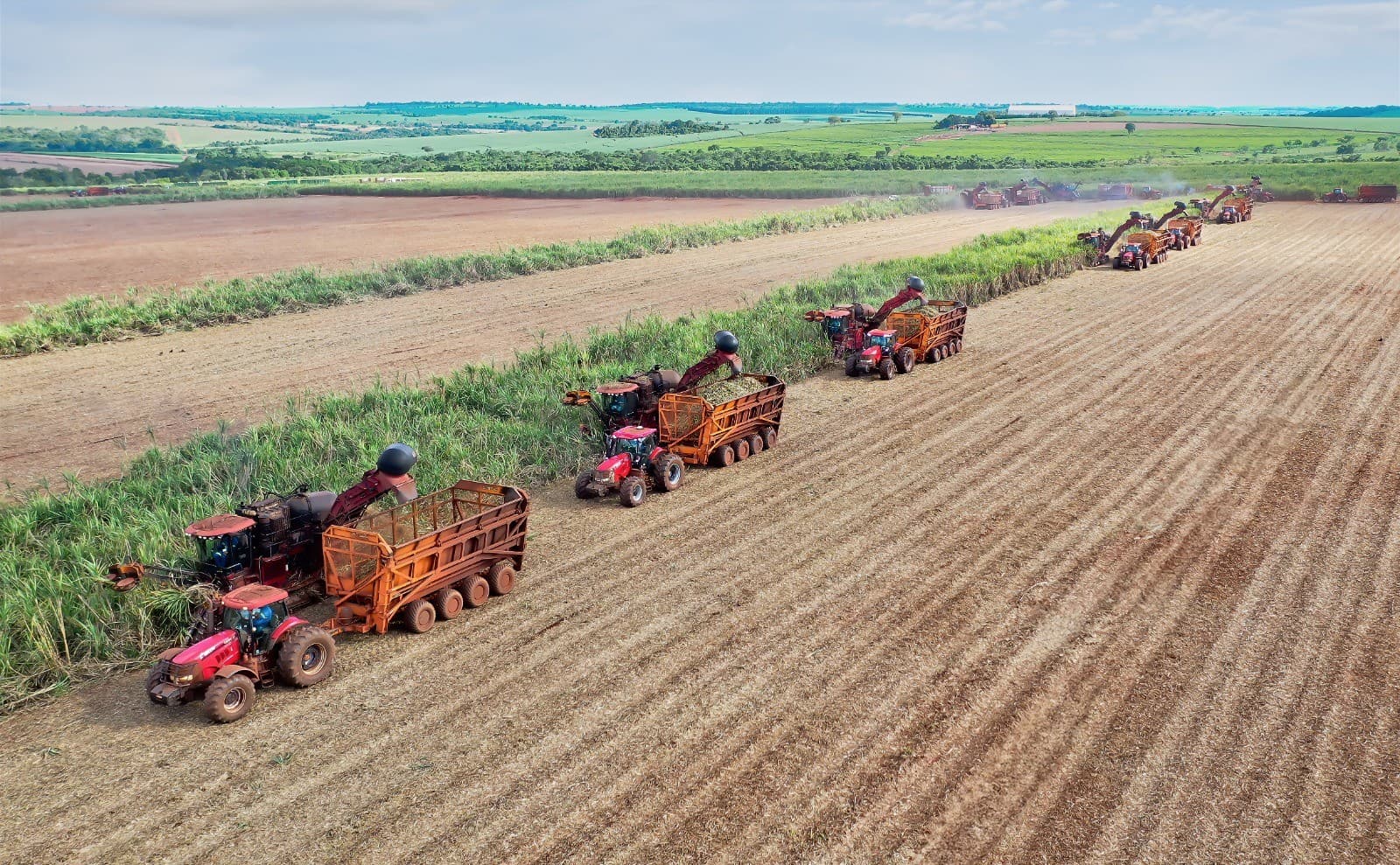 Preços do açúcar e commodities agrícolas sofrem variações na bolsa de Nova York