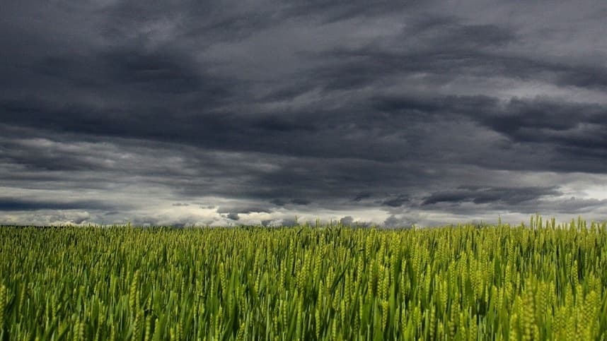 Chuva intensa e tempestades afetam Centro-Sul do Brasil