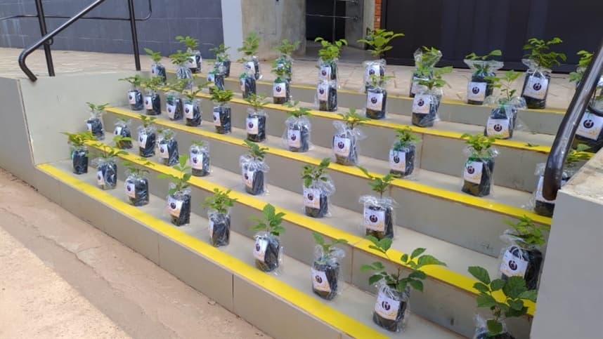 Produtores rurais podem obter benefícios fiscais com preservação ambiental