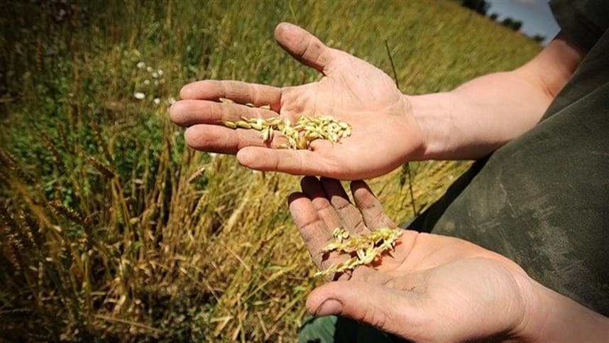 Educação em Agronomia enfrenta desafios para atender novas demandas