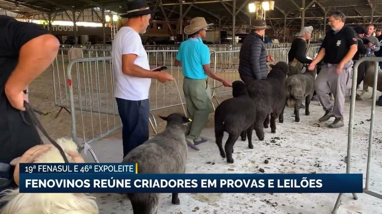 Fenasul e Expoleite destacam genética animal em Esteio