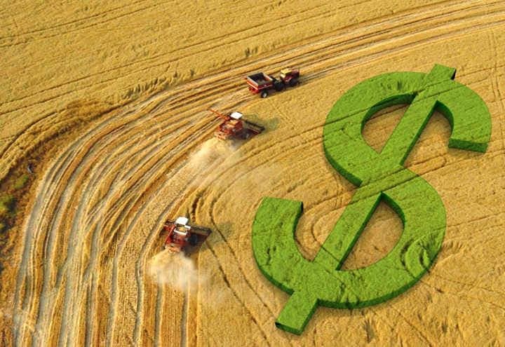 Mercado de soja brasileiro registra alta em preços e negociações