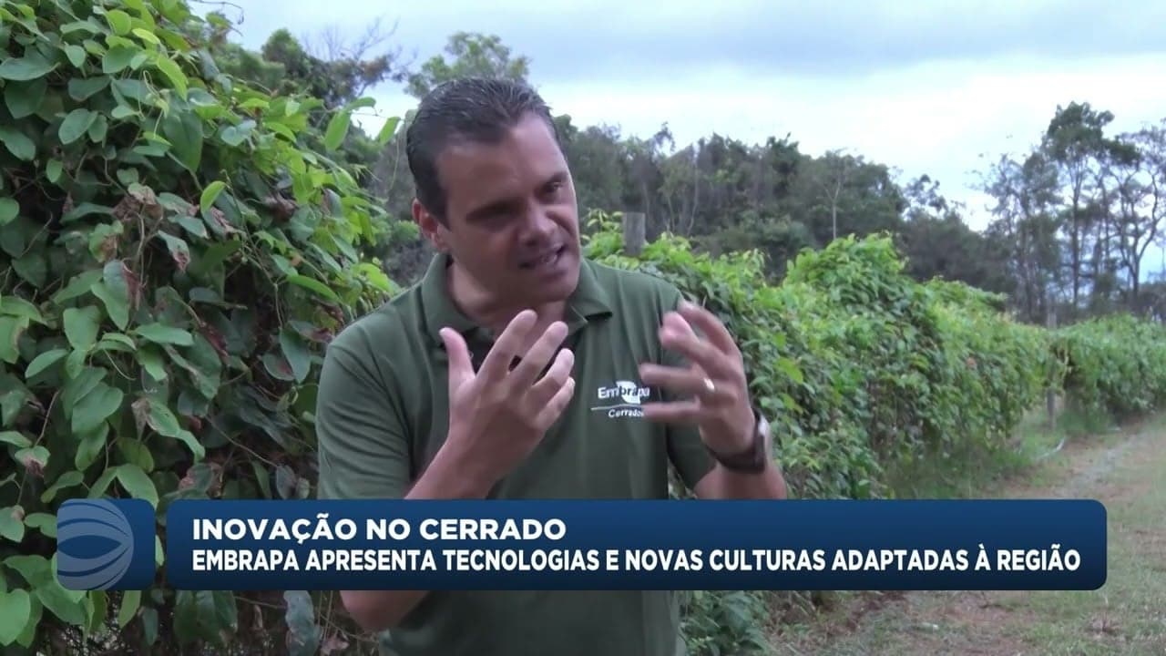 Embrapa Cerrados apresenta inovações em cultivos adaptados