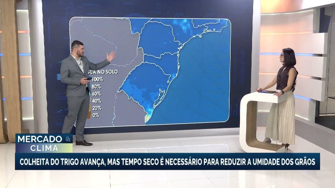 Colheita de trigo no Brasil registra avanço de 5,4% em relação ao ano anterior