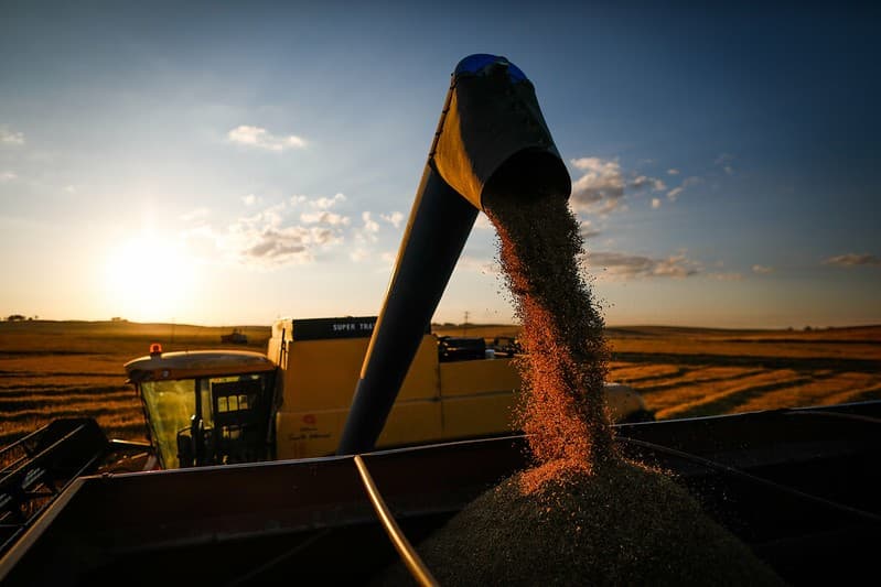 Mercado de arroz no RS enfrenta divisões entre cautela e necessidade