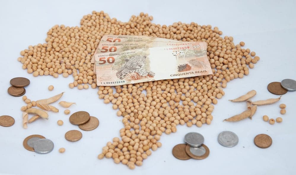 Mercado de soja no Brasil registra negócios pontuais em meio à estabilidade