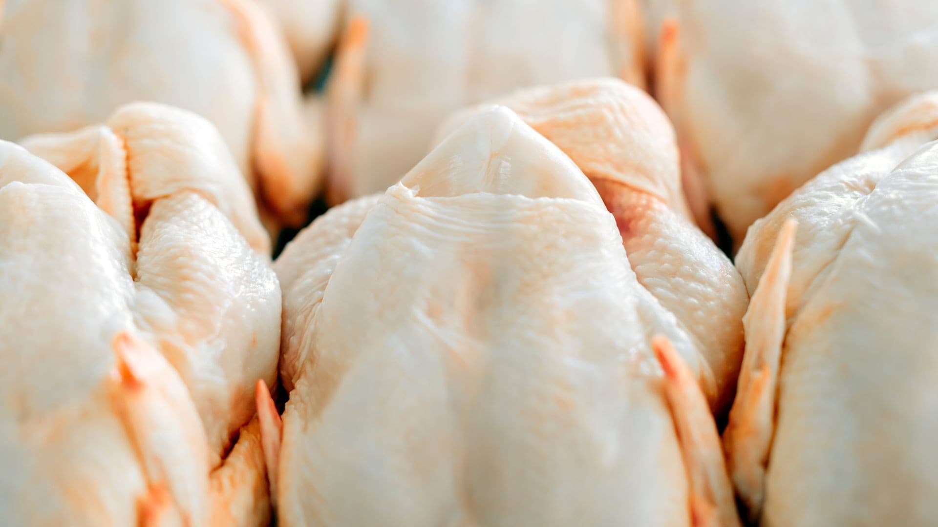 Exportações de frango brasileiro à Europa aumentam antes de restrições