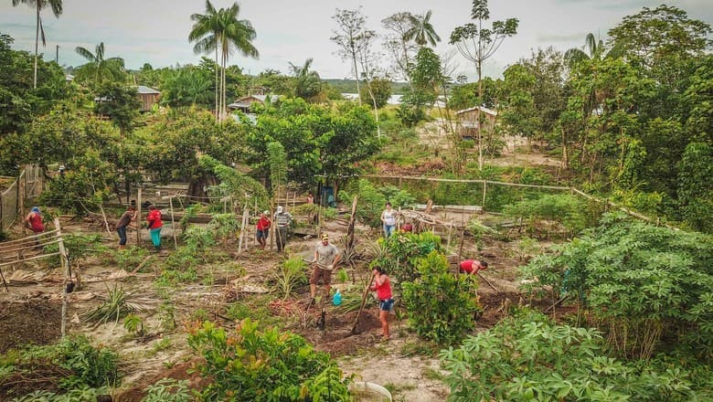 Agroecologia ganha destaque em propostas para eleições 2026