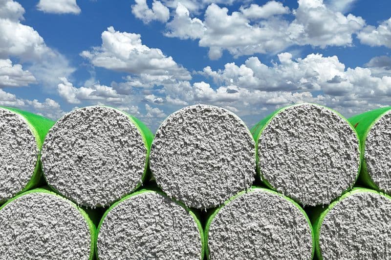 Seca nos EUA impacta preços de algodão e outras commodities