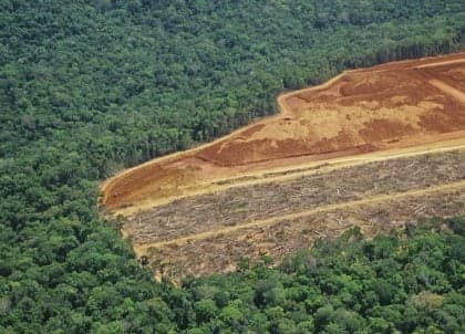 Câmara vota pacotes que ameaçam a política ambiental brasileira