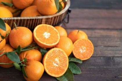 Alimentos para fortalecer a imunidade no frio e combater gripes