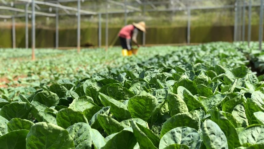 Formalidade no setor agropecuário chega a 40,1%
