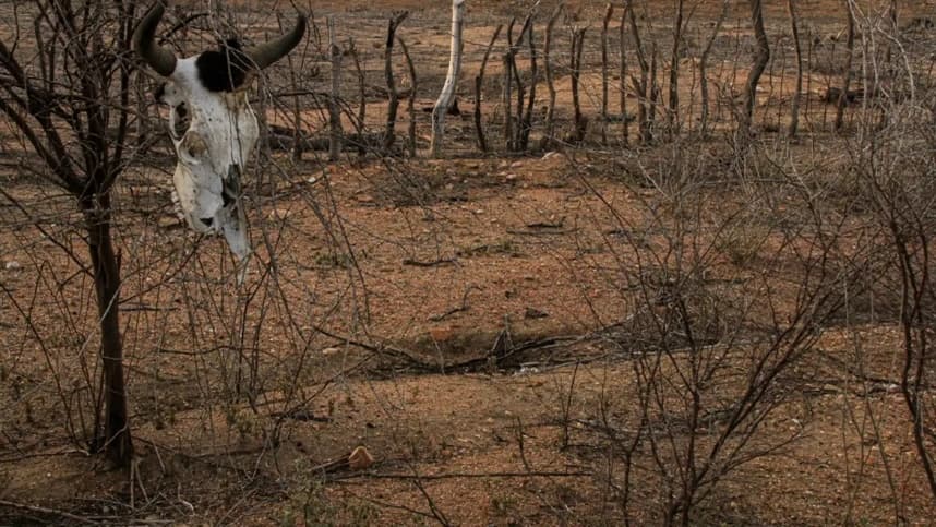 Estiagem leva cidades de Alagoas, Bahia e Paraíba a emergências