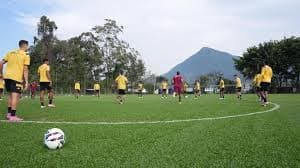 Avaí x Sport Recife: data, local e como acompanhar o confronto
