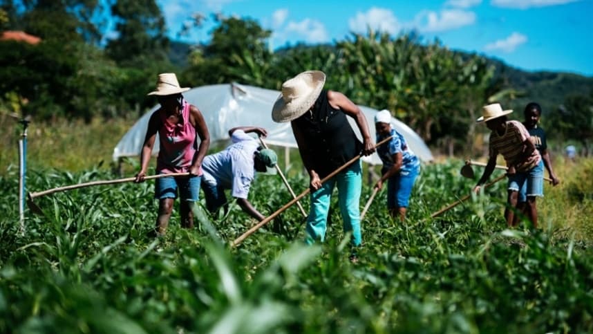 Impacto das mudanças climáticas na saúde de 70% dos trabalhadores globalmente.