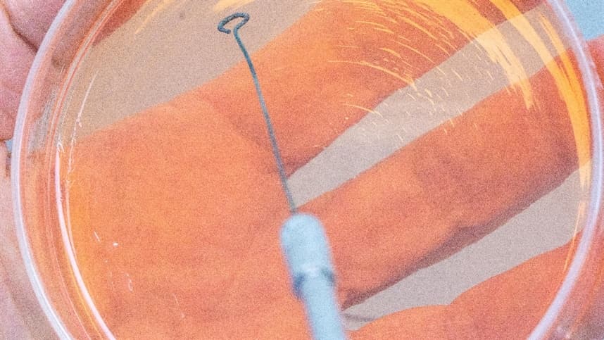 Relare 2026: encontro em Curitiba discute tecnologias de inoculantes