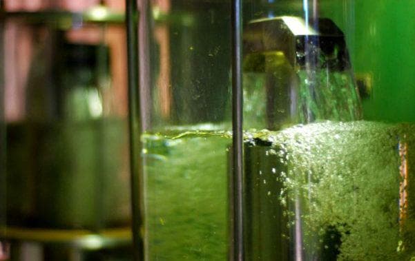 Redução da mistura de biocombustível em gasolina e diesel pode ser adotada pelo RS