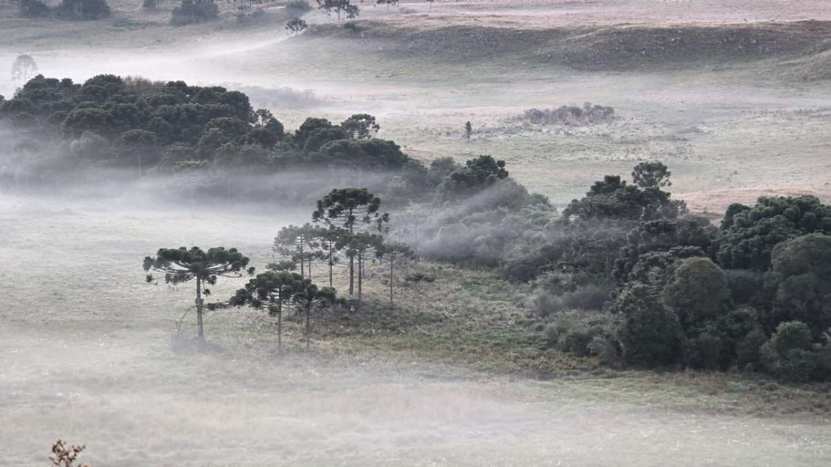 Bom Jardim da Serra pode registrar a temperatura mais baixa do Brasil nesta quarta