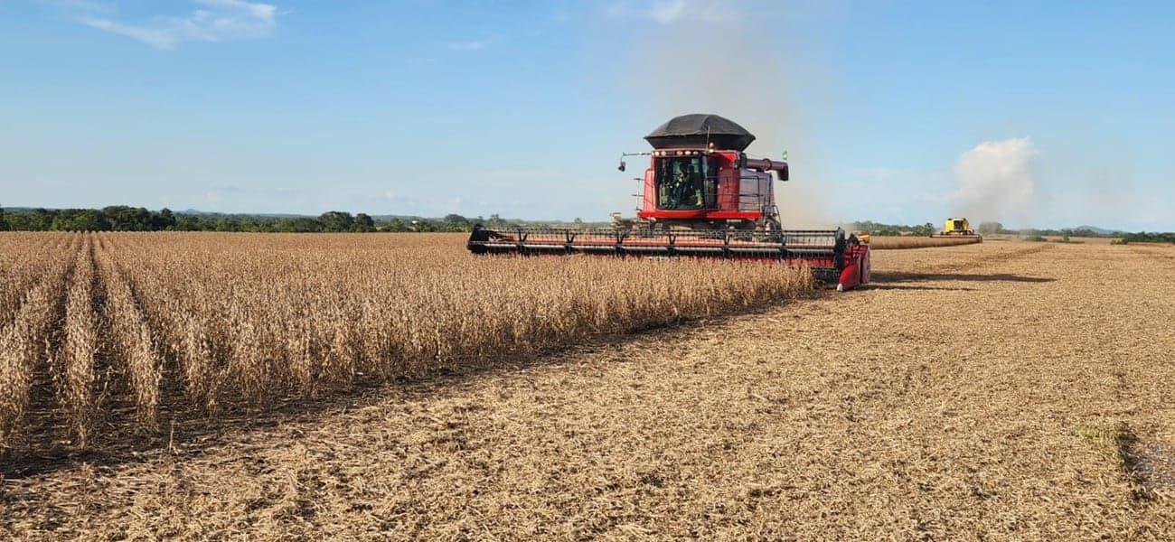 Aprosoja Tocantins vence ação contra contribuição do Maranhão