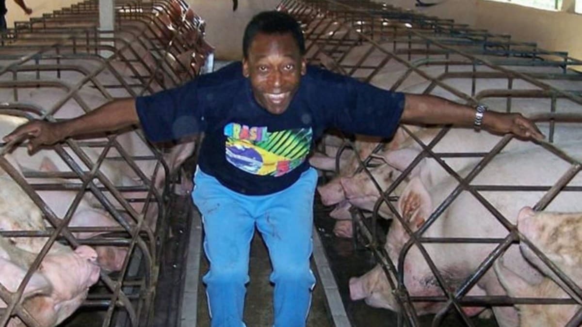 Fazenda histórica de Pelé em Juquiá é vendida por R$ 35 milhões
