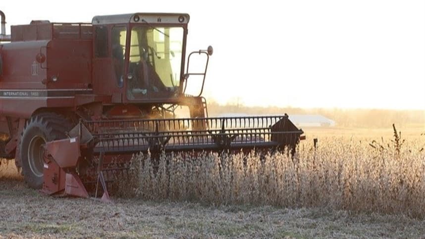 Aumento da produtividade da soja eleva rentabilidade no Brasil