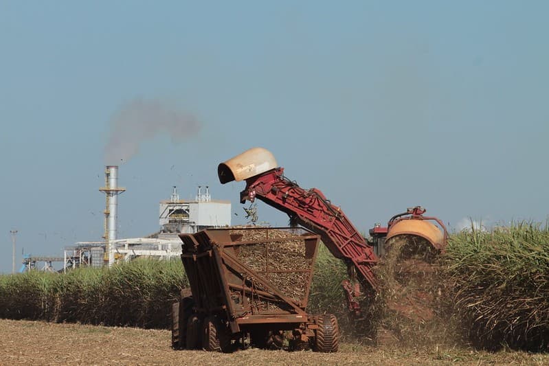 Etanol e açúcar têm quedas acentuadas na abertura da safra 2026