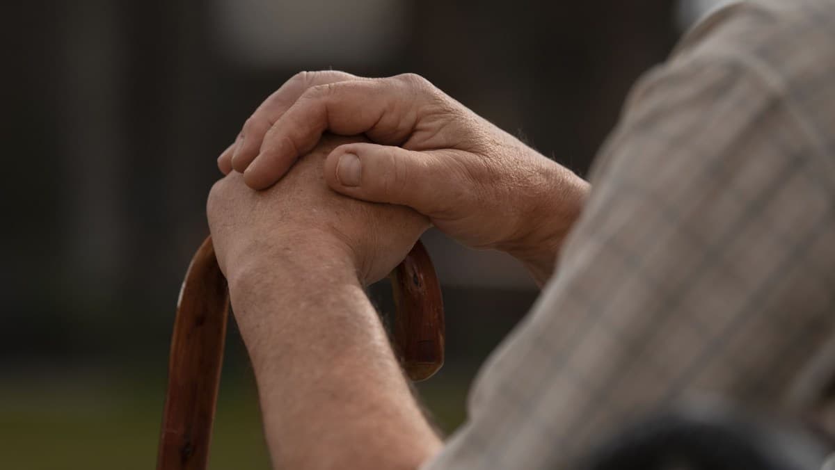 Idosos faltam a consultas em férias escolares, alertam especialistas