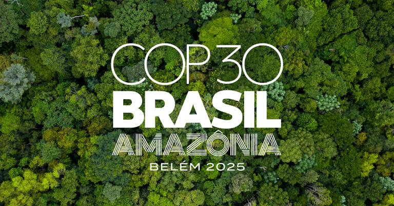 COP 30: entenda de forma simples o que foi o maior encontro climático realizado no Brasil