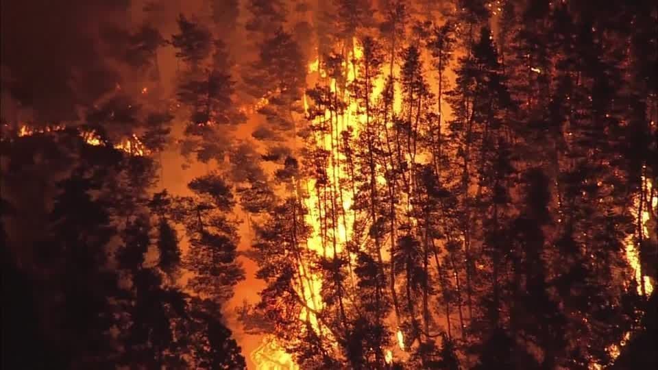 Incêndios florestais no Japão forçam evacuação de 1800 pessoas