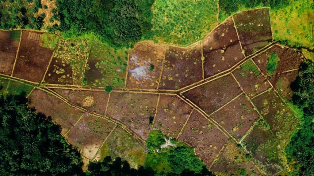 Mudanças no georreferenciamento impactam o agronegócio até 2029