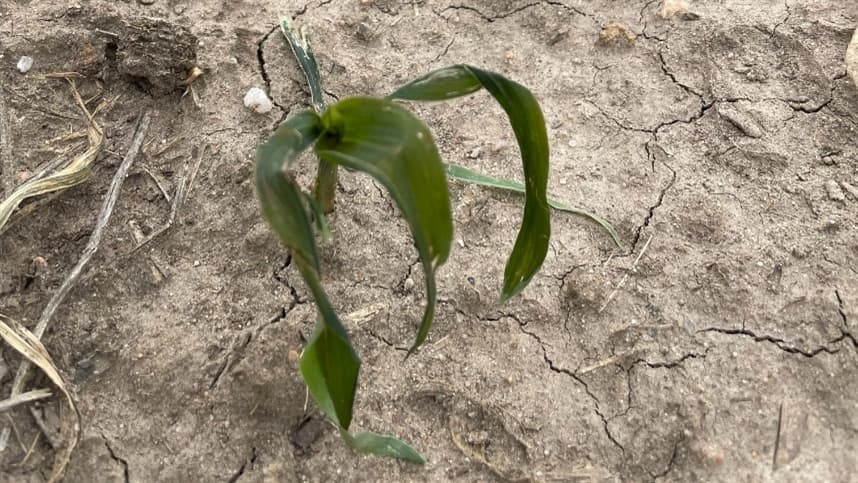 Calor intenso e baixa umidade devem retornar nos próximos dias