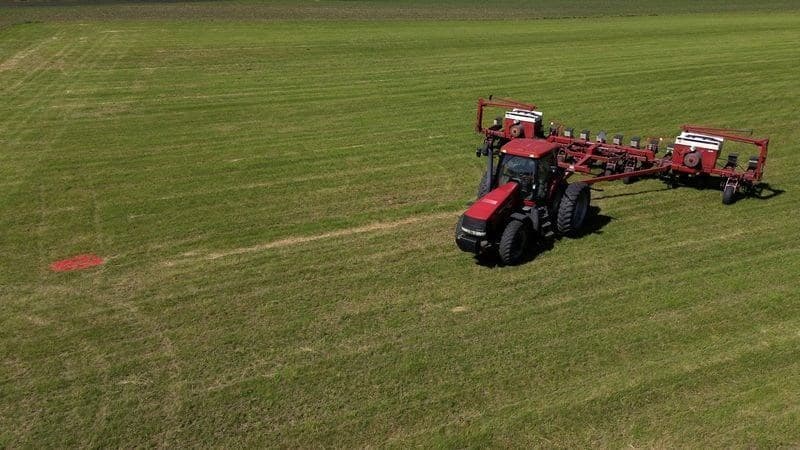 Crescimento da área de soja no Pará e Tocantins, queda em Minas Gerais