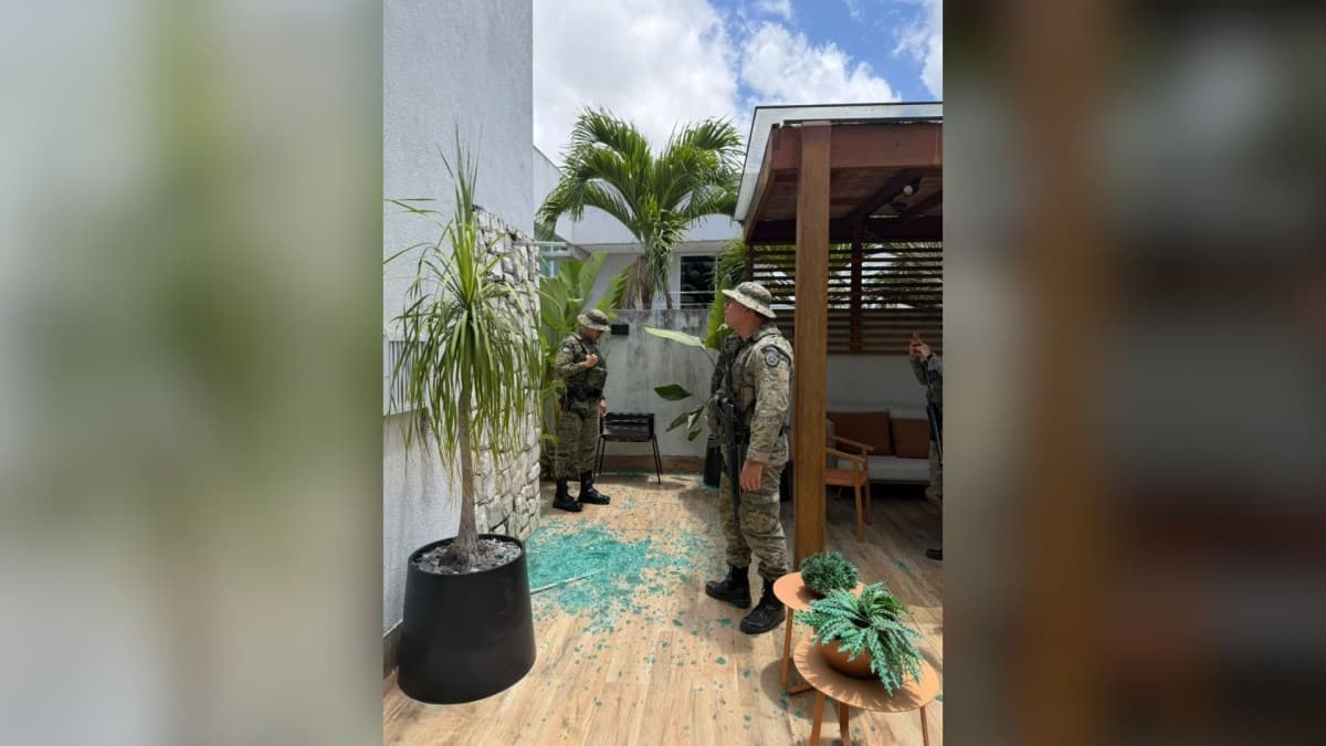Macaco-prego invade condomínio em Salvador e fere cinco pessoas