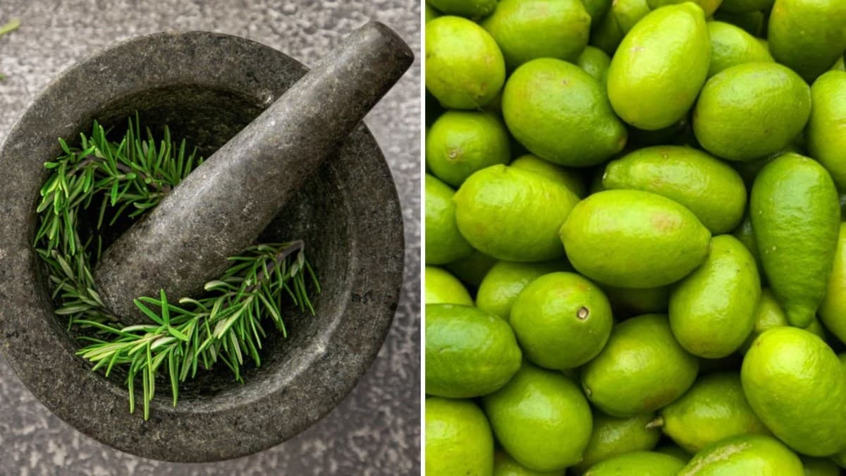 Aromatizador natural de alecrim e limão melhora foco e bem-estar