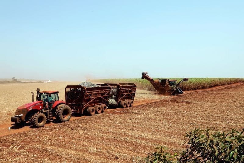 Chuvas intensas no centro-sul do Brasil afetam produção de açúcar