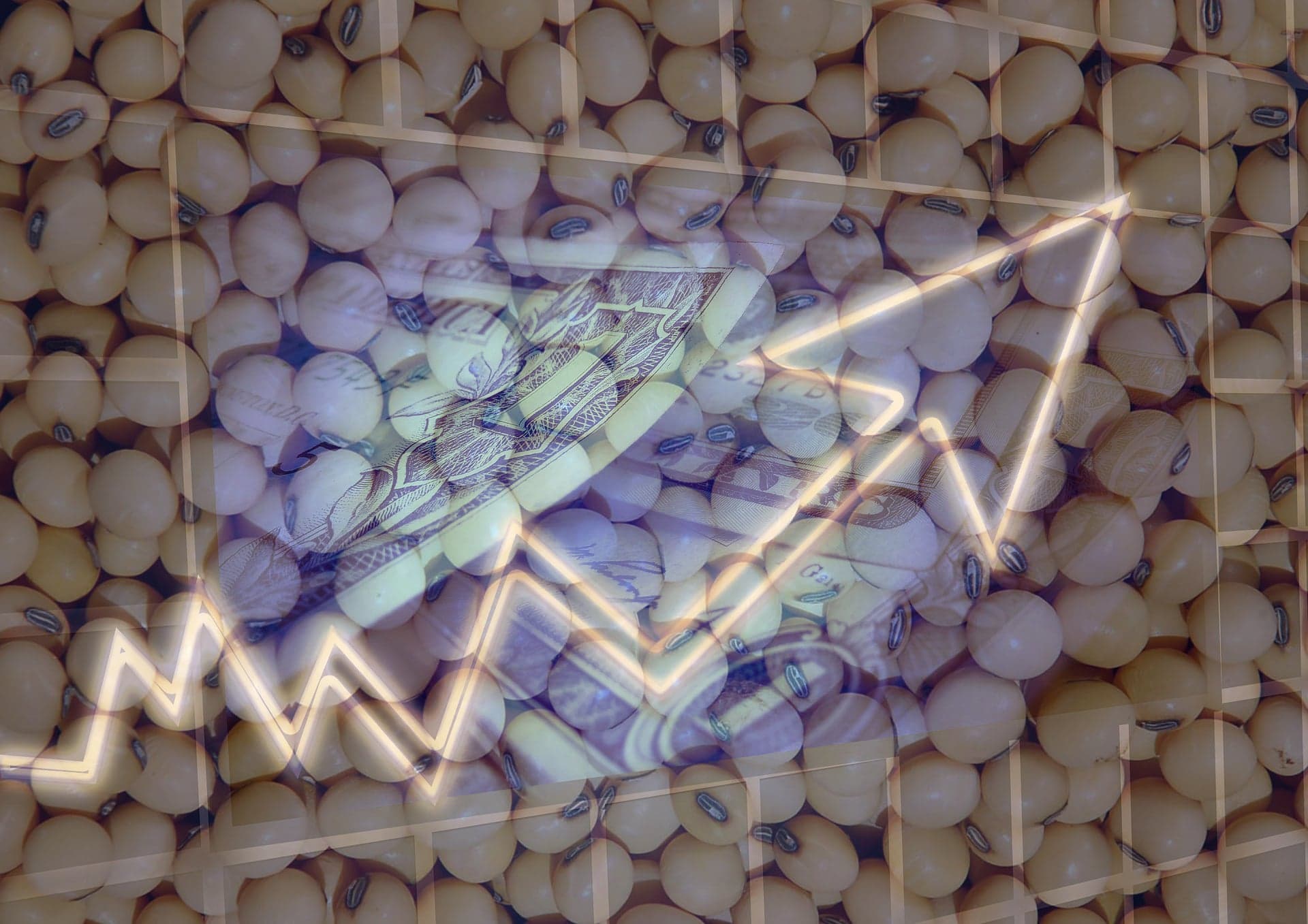 Sicredi reporta R$ 52,8 bi em crédito rural; crescimento de 16,5%