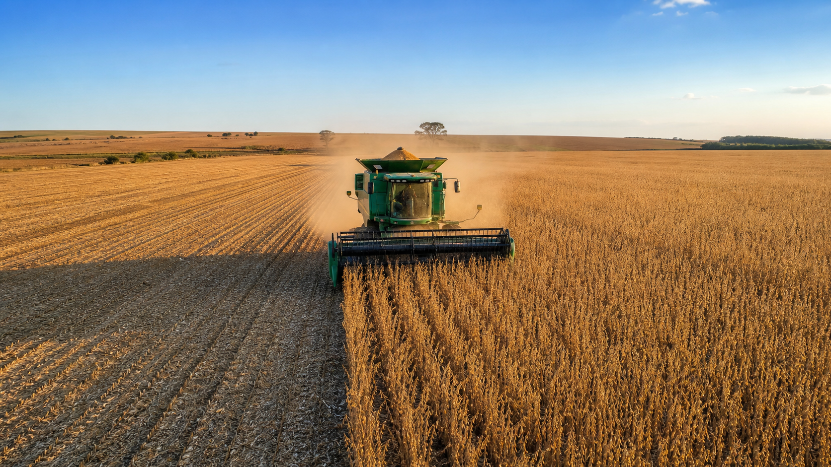 Colheita de soja na Argentina avança e atinge 84,6% da área