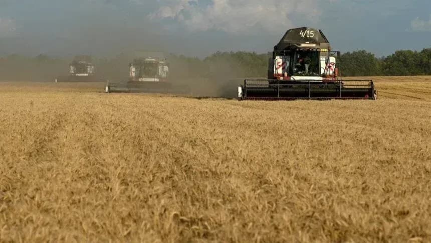 Produção de trigo na Rússia cai para 88,9 milhões de toneladas