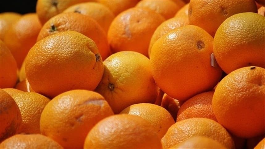 Cotações da laranja e lima tahiti apresentam comportamentos opostos