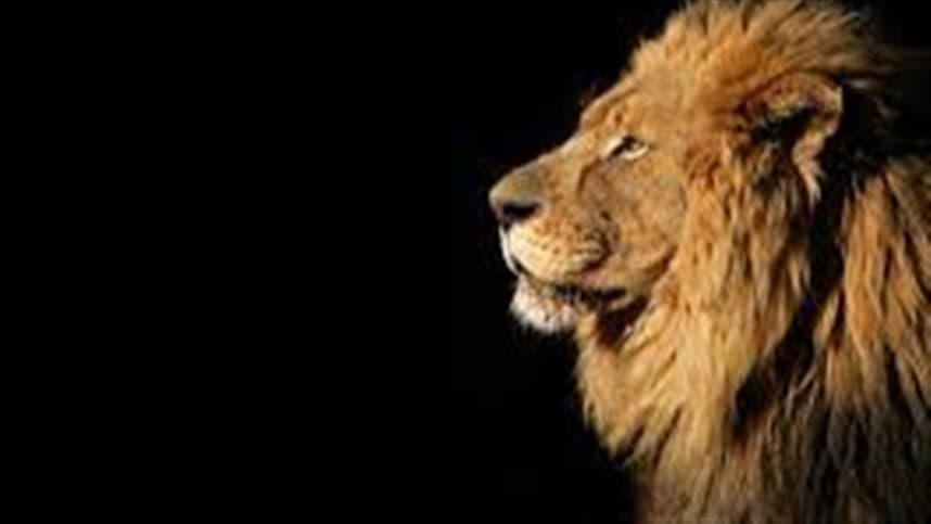 Receita Federal libera restituições para 415 mil contribuintes