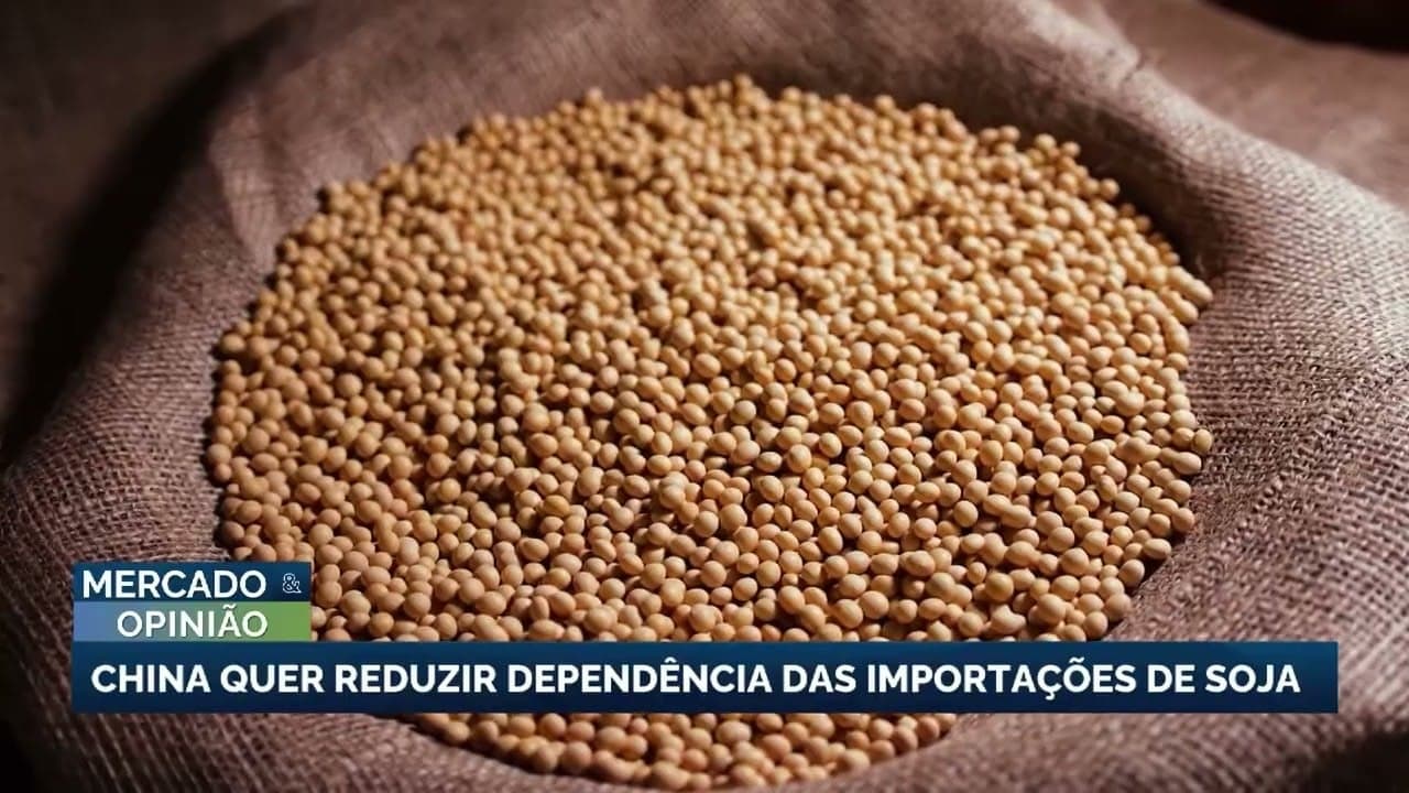 China intensifica produção de alimentos para reduzir dependência