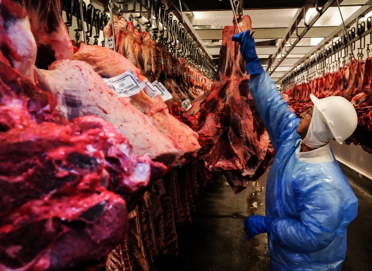 Coreia do Sul avalia sistema sanitário do Brasil para carne bovina
